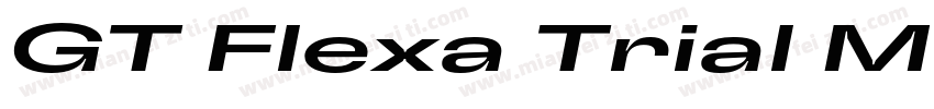 GT Flexa Trial Md It字体转换
